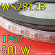 Адресная RGB лента WS2812B/IP67/60LW